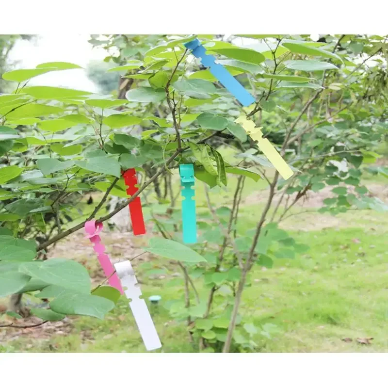 100Pcs/Set Plant Recording Label Garden Nursery Tree Plants Hanging Tags Markers Seeding Fruit Flower Signs Card Garden Tools
100Pcs/Set Plant Recording Label Garden Nursery Tree Plants Hanging Tags Markers Seeding Fruit Flower Signs Card Garden Tools