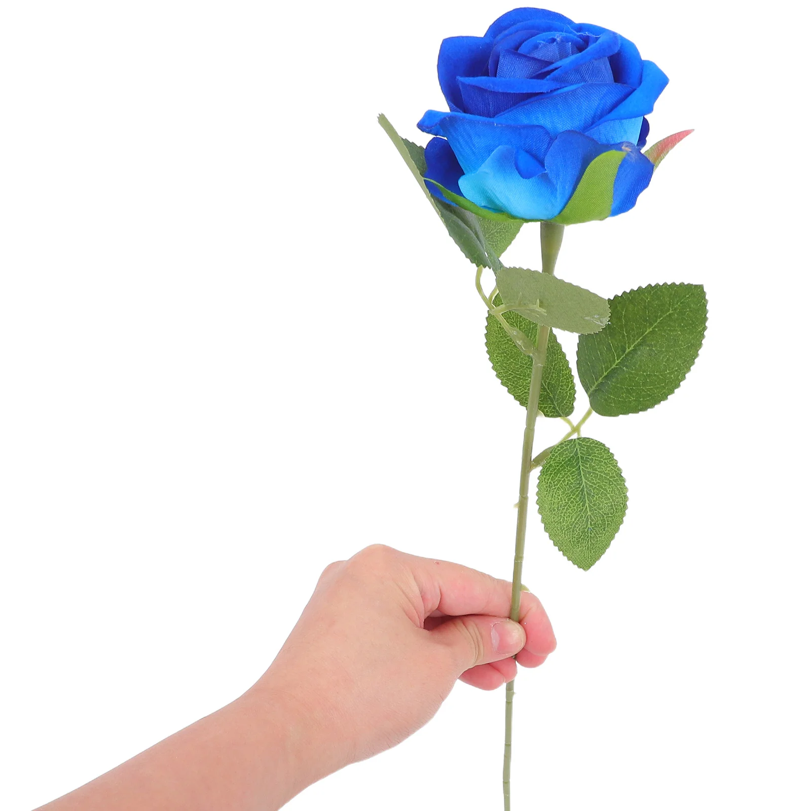 12pcs Roses for Decoration Valentine Day Home Decorative Artificial Flowers Wedding Blue Silk FlowersRoseFlower DecorFlowers
12pcs Roses for Decoration Valentine Day Home Decorative Artificial Flowers Wedding Blue Silk FlowersRoseFlower DecorFlowers