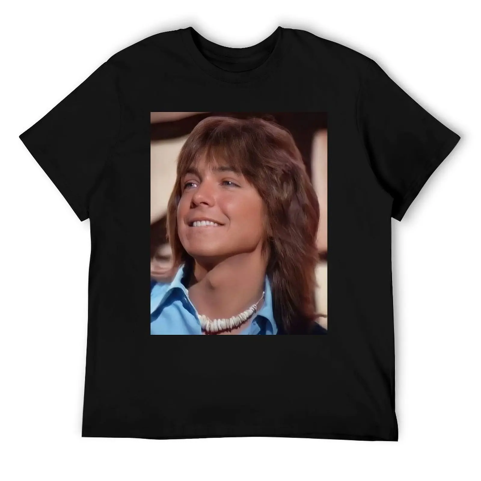 david cassidy T-Shirt men t shirt cotton 100% graphic t shirts for man black cotton t-shirt plain for man package T-Shirt
david cassidy T-Shirt men t shirt cotton 100% graphic t shirts for man black cotton t-shirt plain for man package T-Shirt