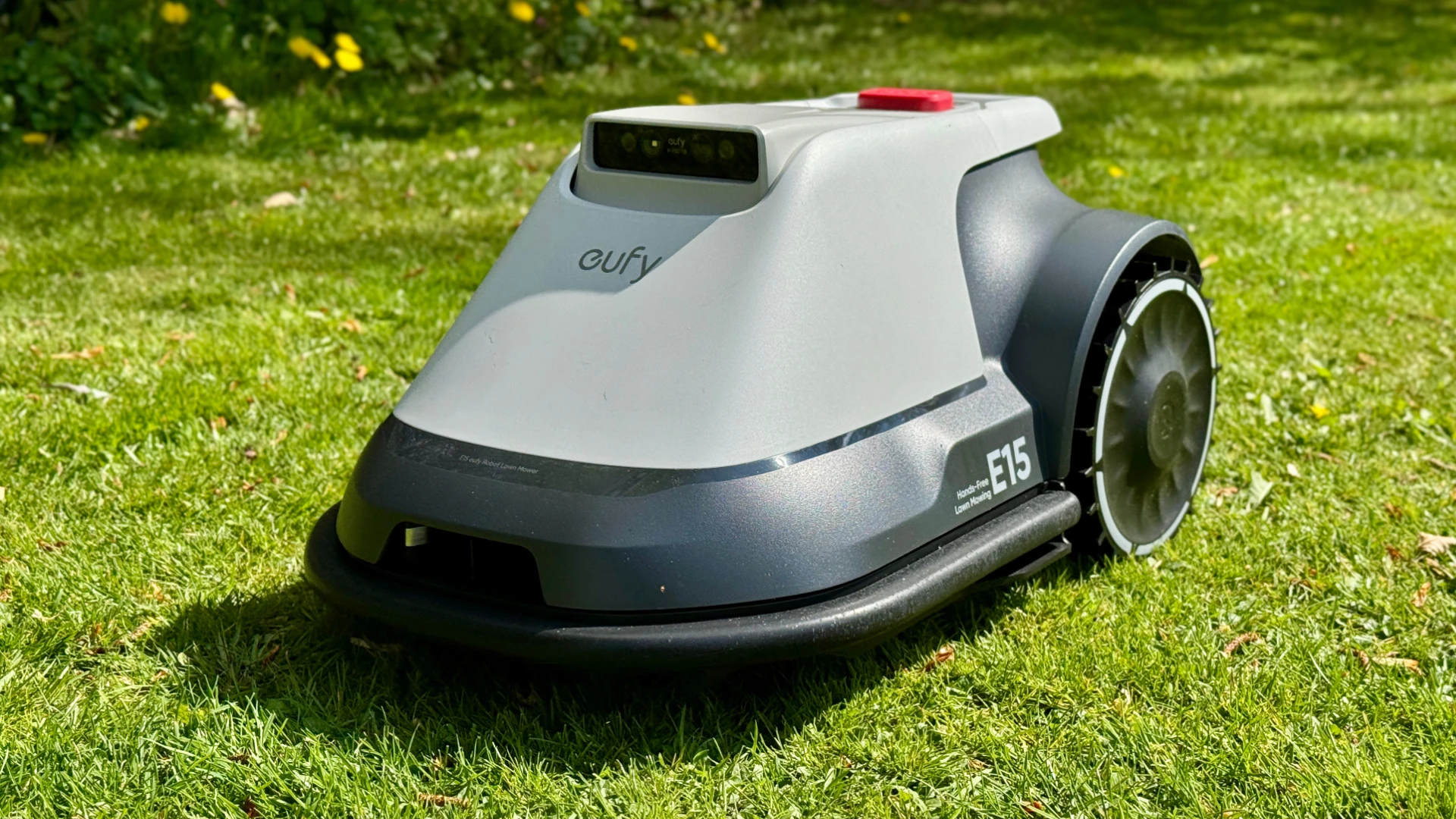 best offer Free Eu \fy e18 Mower
best offer Free Eu \fy e18 Mower
