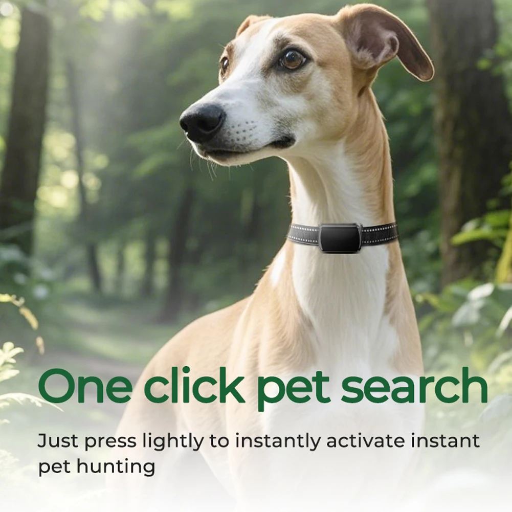 Pet GPS Tracker with Adjustable Collar Dog Tracker Smart Pet Locator for Dogs and Cats
Pet GPS Tracker with Adjustable Collar Dog Tracker Smart Pet Locator for Dogs and Cats