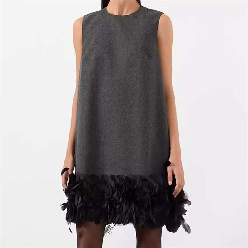 Elegant dresses for women 2024 Summer New in Feather Decoration Sleeveless Dress Round Neck Slim Fit Short dresses Party dresses
Elegant dresses for women 2024 Summer New in Feather Decoration Sleeveless Dress Round Neck Slim Fit Short dresses Party dresses