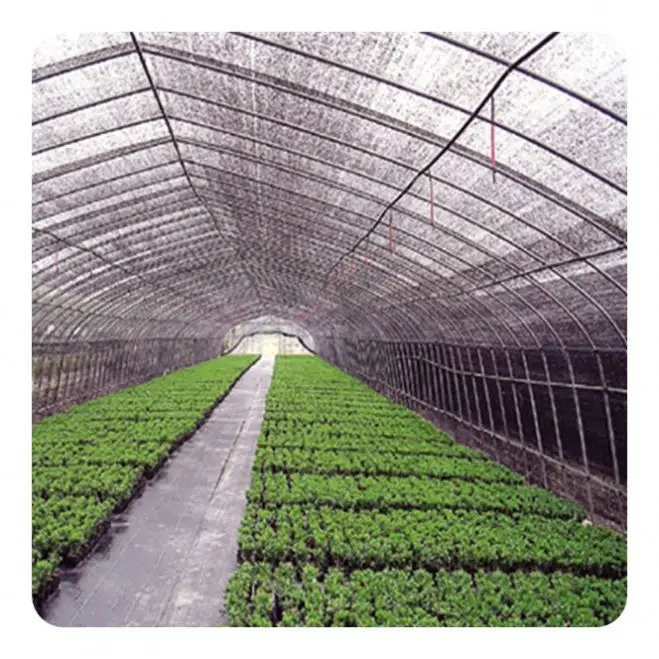 Hot Sale Green House Net Shade Sunshade 40% White ShadeRoller Blind Components Agriculture
Hot Sale Green House Net Shade Sunshade 40% White ShadeRoller Blind Components Agriculture