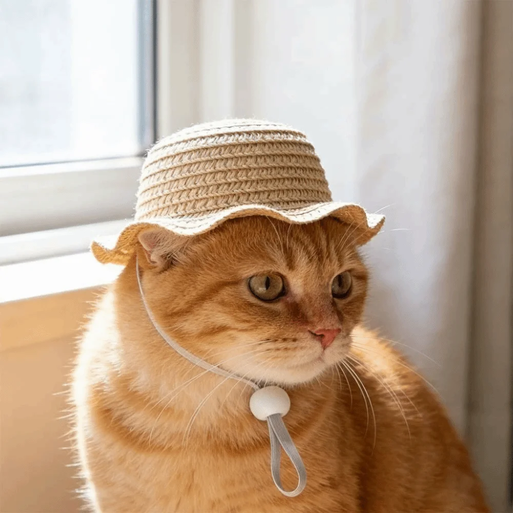 Decorative Adjustable Pet Straw Hat Wide Brim Breathable Cat Sun Hat Weaving Pet Sunshade Hat Walking Hiking
Decorative Adjustable Pet Straw Hat Wide Brim Breathable Cat Sun Hat Weaving Pet Sunshade Hat Walking Hiking