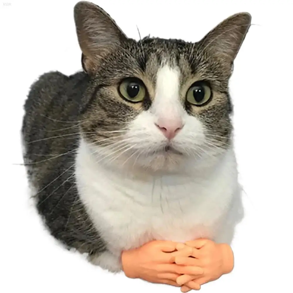 fun toy Small gloves finger Sleeve mini hand model silicone small gloves massage tools Pet cat toy Halloween gift
fun toy Small gloves finger Sleeve mini hand model silicone small gloves massage tools Pet cat toy Halloween gift
