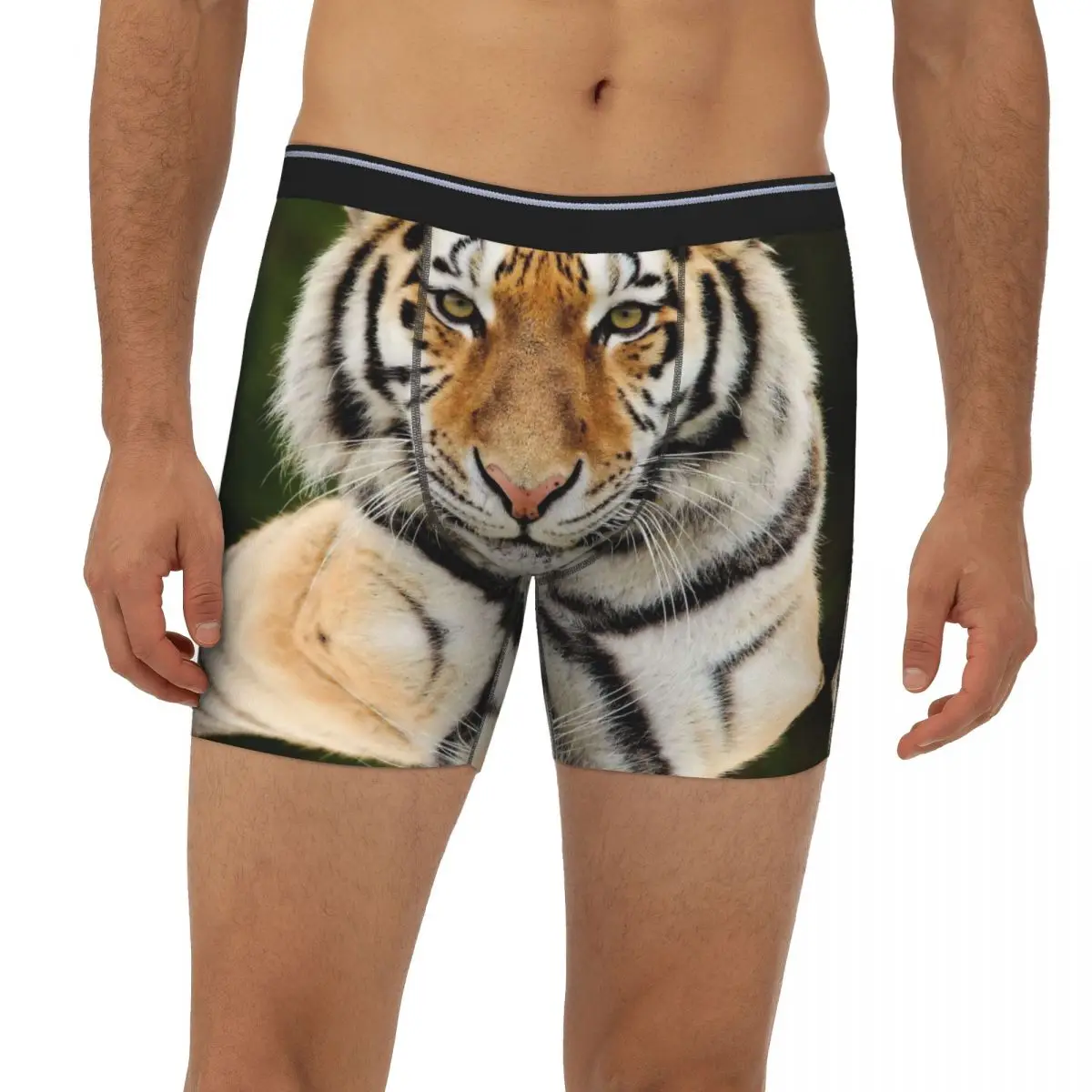 Tiger Underpants Breathbale Panties Male Underwear Print Shorts Boxer Briefs extended underwear
Tiger Underpants Breathbale Panties Male Underwear Print Shorts Boxer Briefs extended underwear