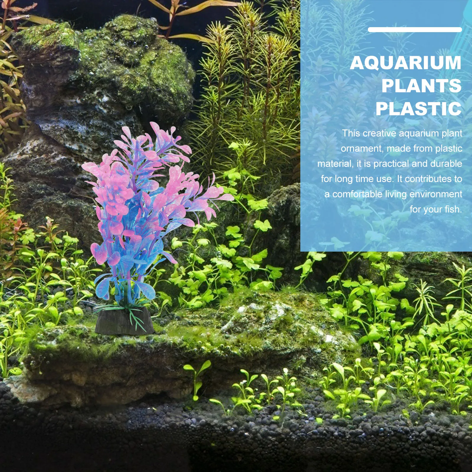 6pcs aquarium Plants Plastic Vibrant Fish Tank Decorations Realistic Aquarium Decor Swimming Space Comfortable Shelter For Small
6pcs aquarium Plants Plastic Vibrant Fish Tank Decorations Realistic Aquarium Decor Swimming Space Comfortable Shelter For Small