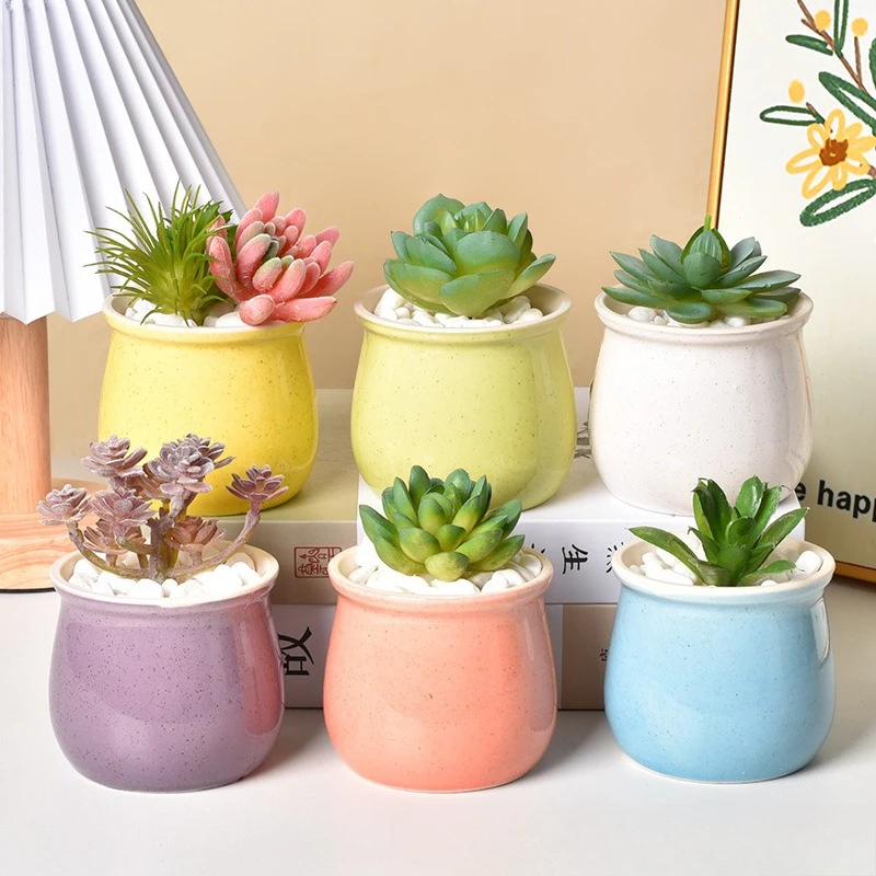 Macaron succulent plant ceramic small flower pot export creative gardening home desktop green plant potted plant
Macaron succulent plant ceramic small flower pot export creative gardening home desktop green plant potted plant
