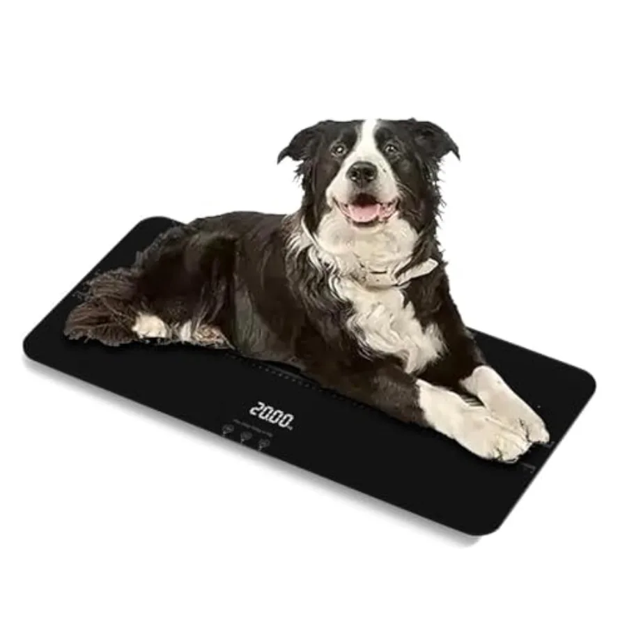 Veterinary scale for medium-small pets, tempered glass platform, black, 10g accuracy, 220lb capacity, anti-slip sticker, USB-re
Veterinary scale for medium-small pets, tempered glass platform, black, 10g accuracy, 220lb capacity, anti-slip sticker, USB-re