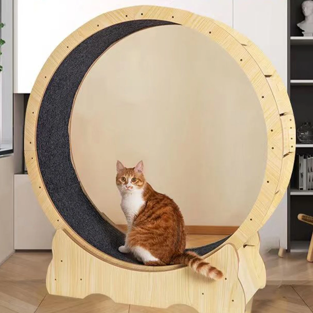 Cat Scratching Board Mat Cat Exercise Wheel Carpet Felt Cushion Cat Treadmill Wheel Scratcher Pad Running Wheel Mat Protection
Cat Scratching Board Mat Cat Exercise Wheel Carpet Felt Cushion Cat Treadmill Wheel Scratcher Pad Running Wheel Mat Protection