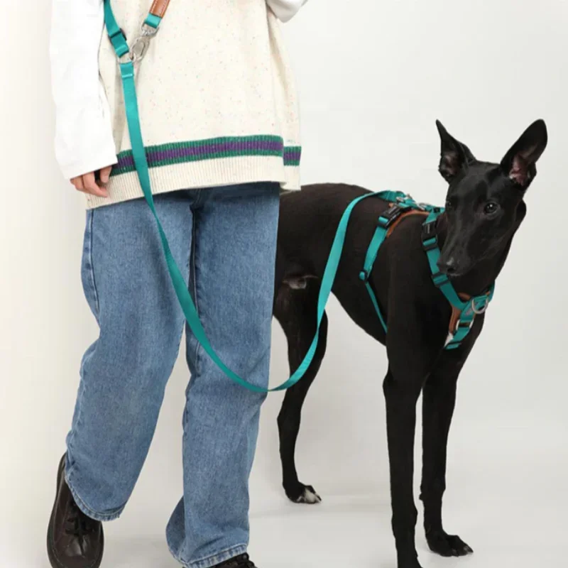 Hand Free Dog Leashes With Handle High Quality Pet Safety Vest Harness Adjustable Pet Leashes With Poop Bag
Hand Free Dog Leashes With Handle High Quality Pet Safety Vest Harness Adjustable Pet Leashes With Poop Bag