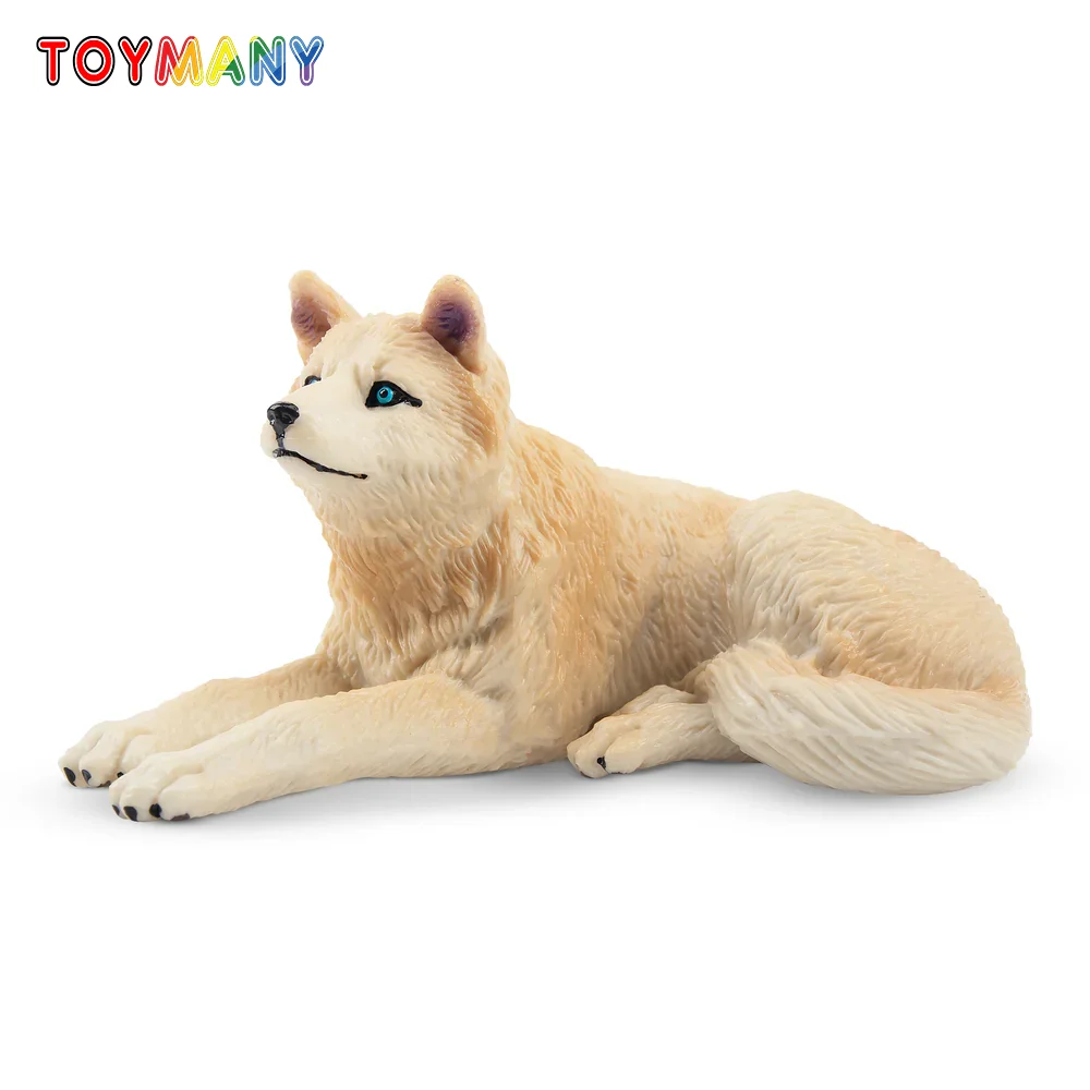 Toymany Simulation White Arctic Wolf Cub Wildlife Animal Model Toy Mini Figures Dolls Action Figurines Toys for Children Gift
Toymany Simulation White Arctic Wolf Cub Wildlife Animal Model Toy Mini Figures Dolls Action Figurines Toys for Children Gift