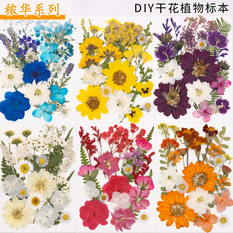 24Pcs Natural Mixed Color Dried Flower DIY Pressed Flower Photo Plant Specimen Bookmark Pressed Flower Material Pack Painting Materials Real Flower Resin Dried Leaf Specimen
24Pcs Natural Mixed Color Dried Flower DIY Pressed Flower Photo Plant Specimen Bookmark Pressed Flower Material Pack Painting Materials Real Flower Resin Dried Leaf Specimen