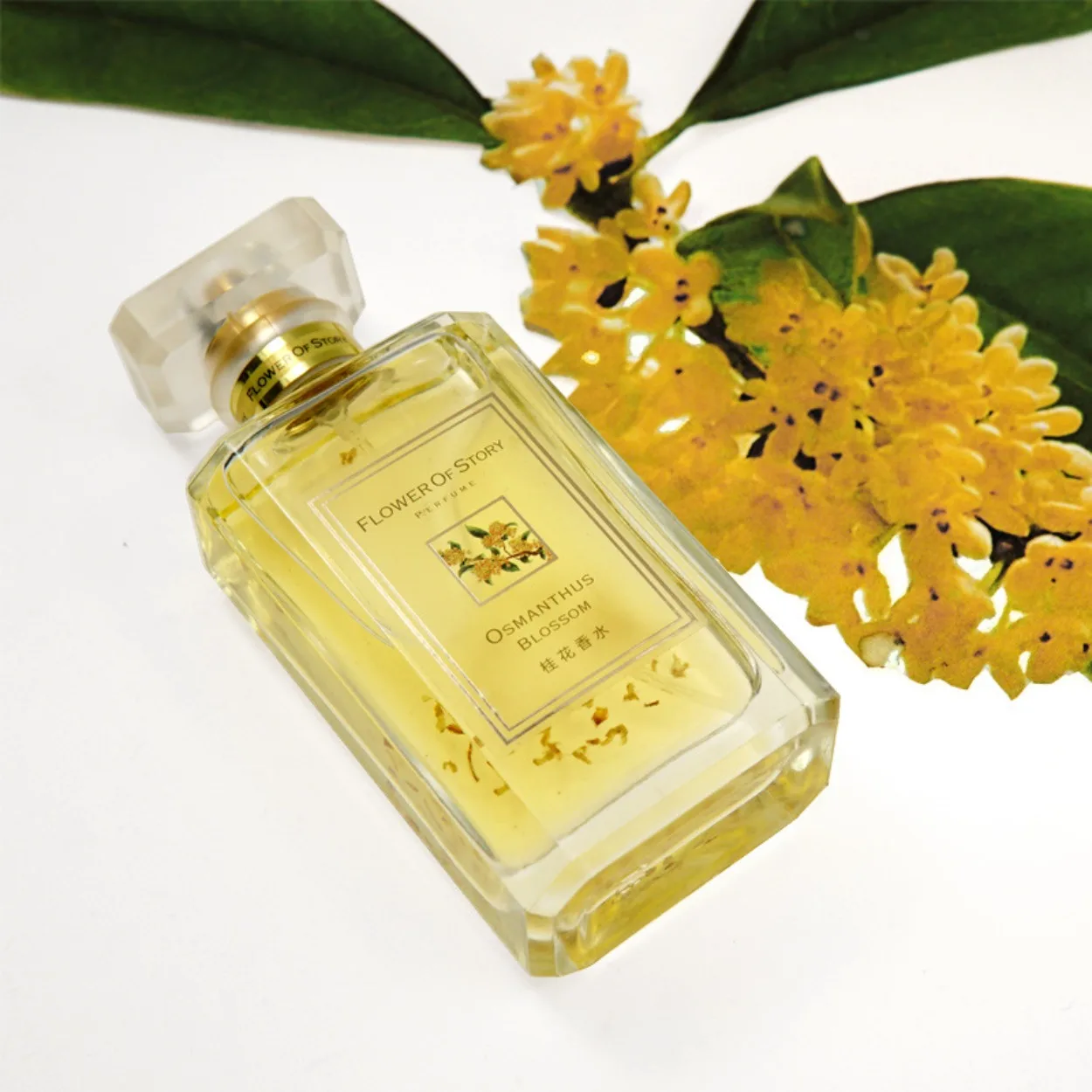 Classic Osmanthus Perfume for Women: Long-Lasting Eau de Toilette—Natural and Fresh Scent for Students, 50ml Floral Summer
Classic Osmanthus Perfume for Women: Long-Lasting Eau de Toilette—Natural and Fresh Scent for Students, 50ml Floral Summer