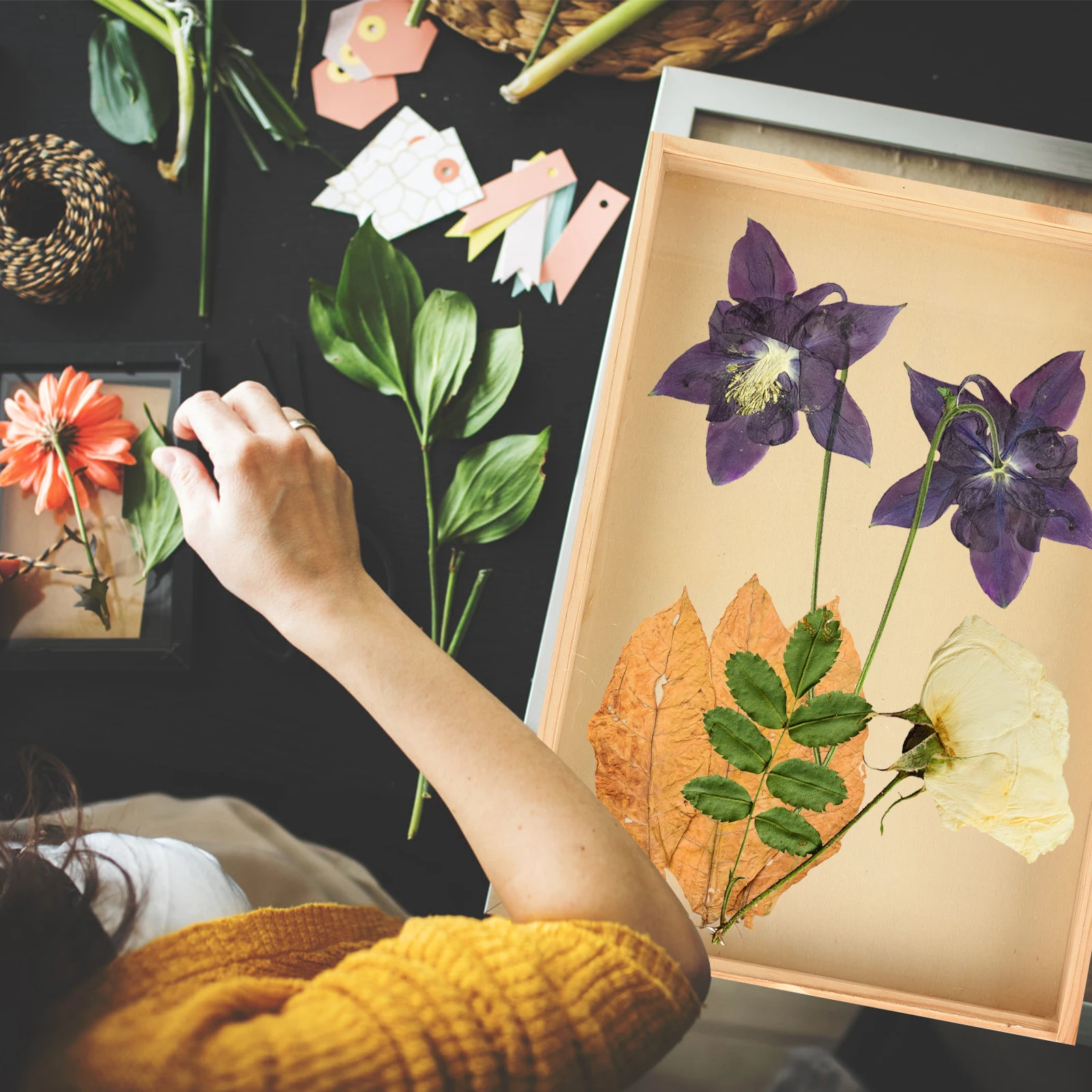 Wooden Specimen Display Box Insects Storage Case Transparent Lid Shadow Frame Organizer for Butterflies Jewelry Coins Dried
Wooden Specimen Display Box Insects Storage Case Transparent Lid Shadow Frame Organizer for Butterflies Jewelry Coins Dried