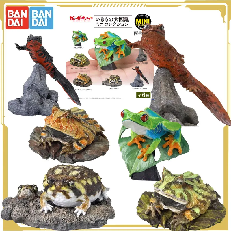 Bandai Original Gashapon Biological Atlas Anime Figure Amphibian 2 Bombs Salamander Action Figure Toys for Boys Girls Kids Gift
Bandai Original Gashapon Biological Atlas Anime Figure Amphibian 2 Bombs Salamander Action Figure Toys for Boys Girls Kids Gift
