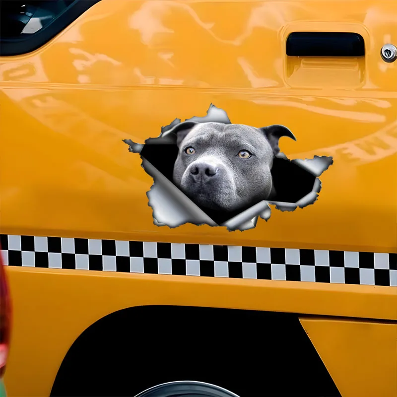 DK583# Blue Pitbull Hiding in the Hole Sticker, 1pc Funny Car Decal, Suitable for Cars, Trucks, Motorcycles, Walls
DK583# Blue Pitbull Hiding in the Hole Sticker, 1pc Funny Car Decal, Suitable for Cars, Trucks, Motorcycles, Walls