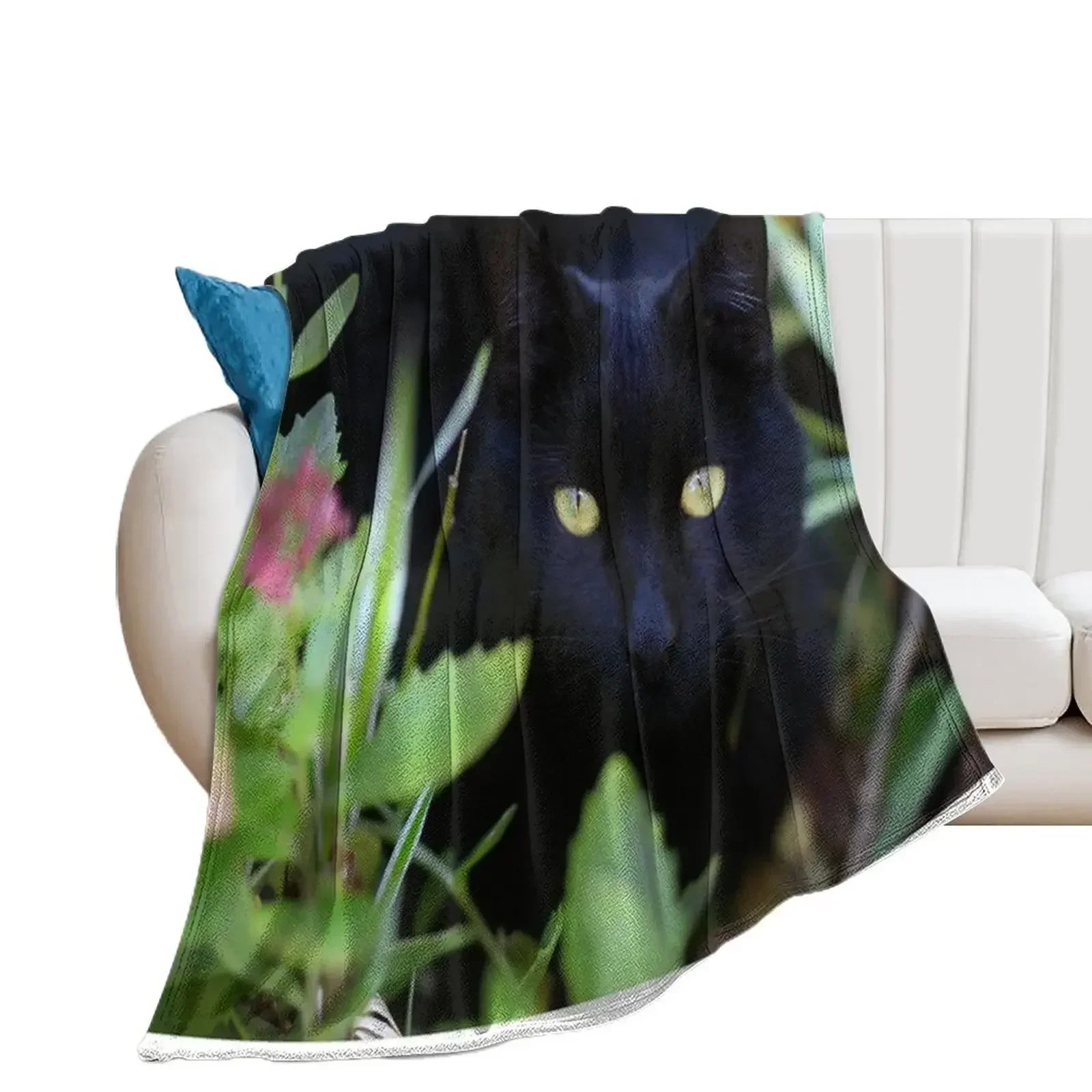 Black cat sitting in garden Throw Blanket Personalized Gift Travel Hair For Decorative Sofa Blankets
Black cat sitting in garden Throw Blanket Personalized Gift Travel Hair For Decorative Sofa Blankets