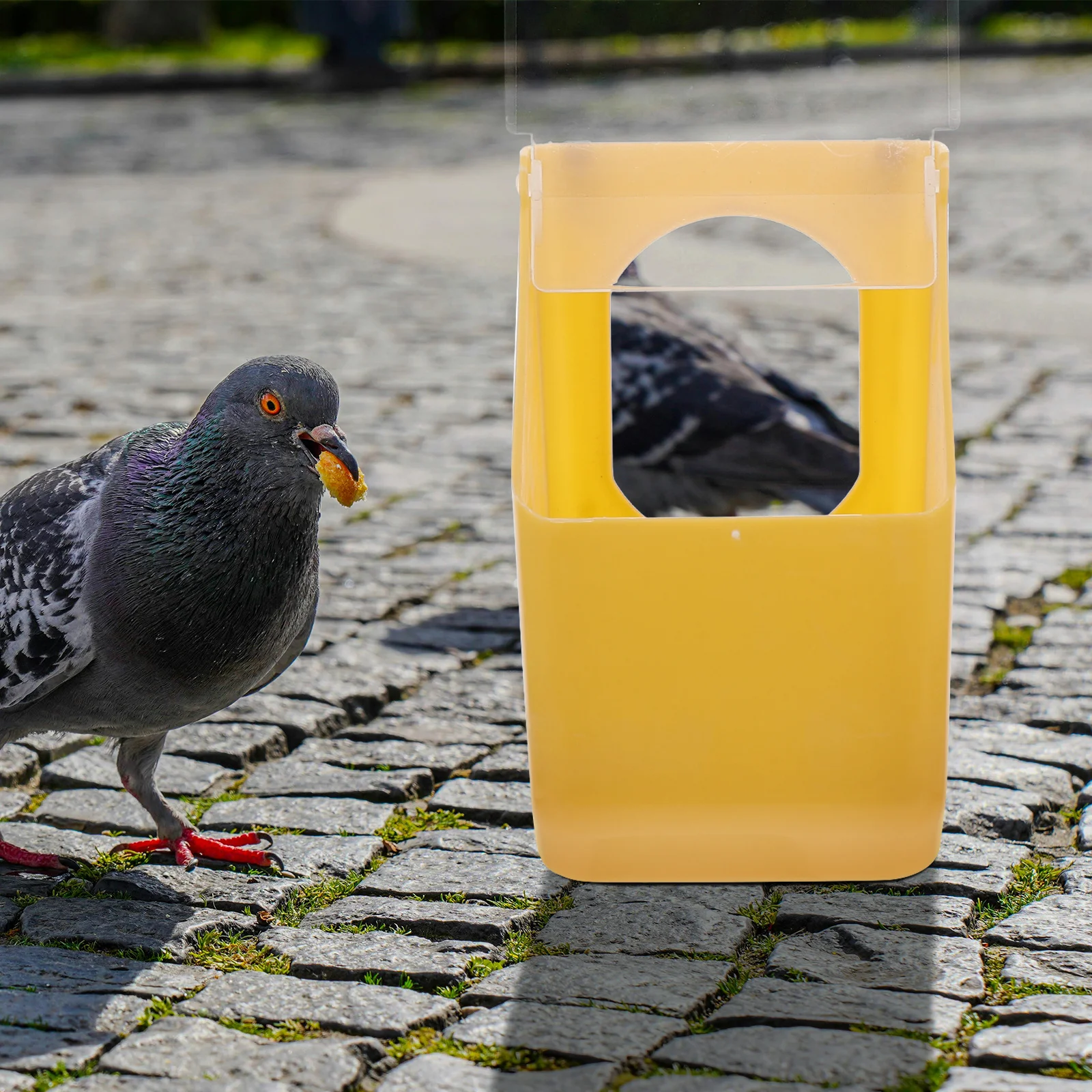 2Pcs Hanging Pigeon Feeder Small Bird Feeder Cage Parakeet Accessories Bird Food Container Feeding Dispenser Pigeon Feed Box
2Pcs Hanging Pigeon Feeder Small Bird Feeder Cage Parakeet Accessories Bird Food Container Feeding Dispenser Pigeon Feed Box