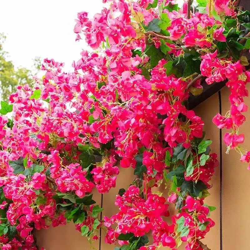 40Pcs in Bulk Artificial Bougainvillea Silk Flowers Branches Long Plant Stems 45" for Wedding Centerpieces, Bussiness Decor
40Pcs in Bulk Artificial Bougainvillea Silk Flowers Branches Long Plant Stems 45" for Wedding Centerpieces, Bussiness Decor