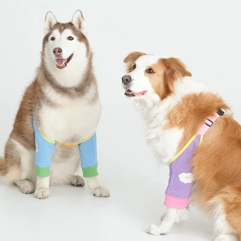 Dog elbow pads, clothes, joint protective covers, large dog pet anti-dirty knee pads, universal in all seasons when going out
Dog elbow pads, clothes, joint protective covers, large dog pet anti-dirty knee pads, universal in all seasons when going out
