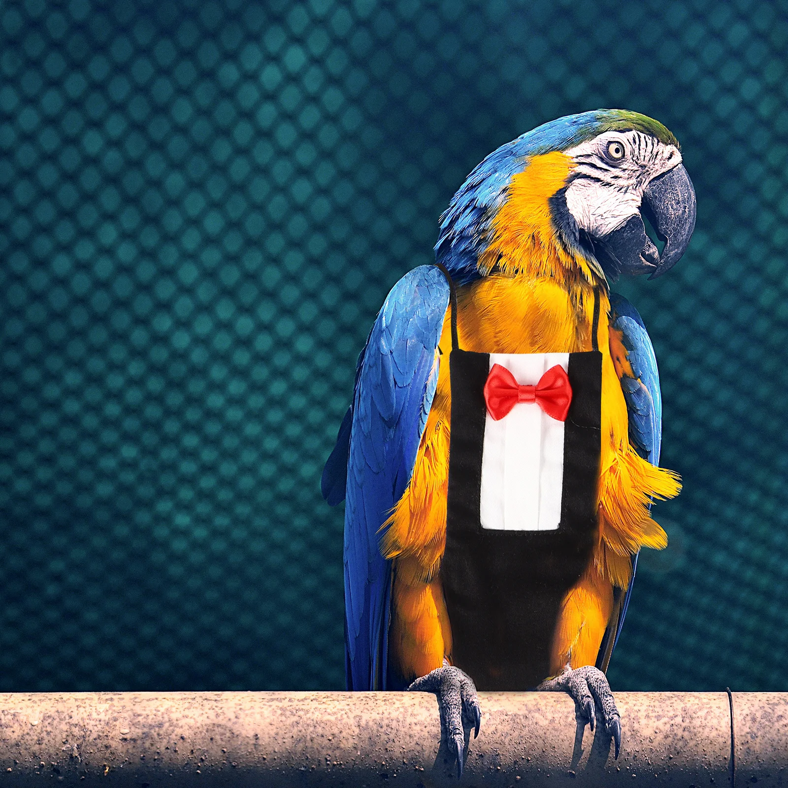 2pcs Pet Bird Diaper Reusable Lightweight Parrot Flight Suit For Budgie Lovebird Green Cheek Conure Cockatiel Bird Costume
2pcs Pet Bird Diaper Reusable Lightweight Parrot Flight Suit For Budgie Lovebird Green Cheek Conure Cockatiel Bird Costume