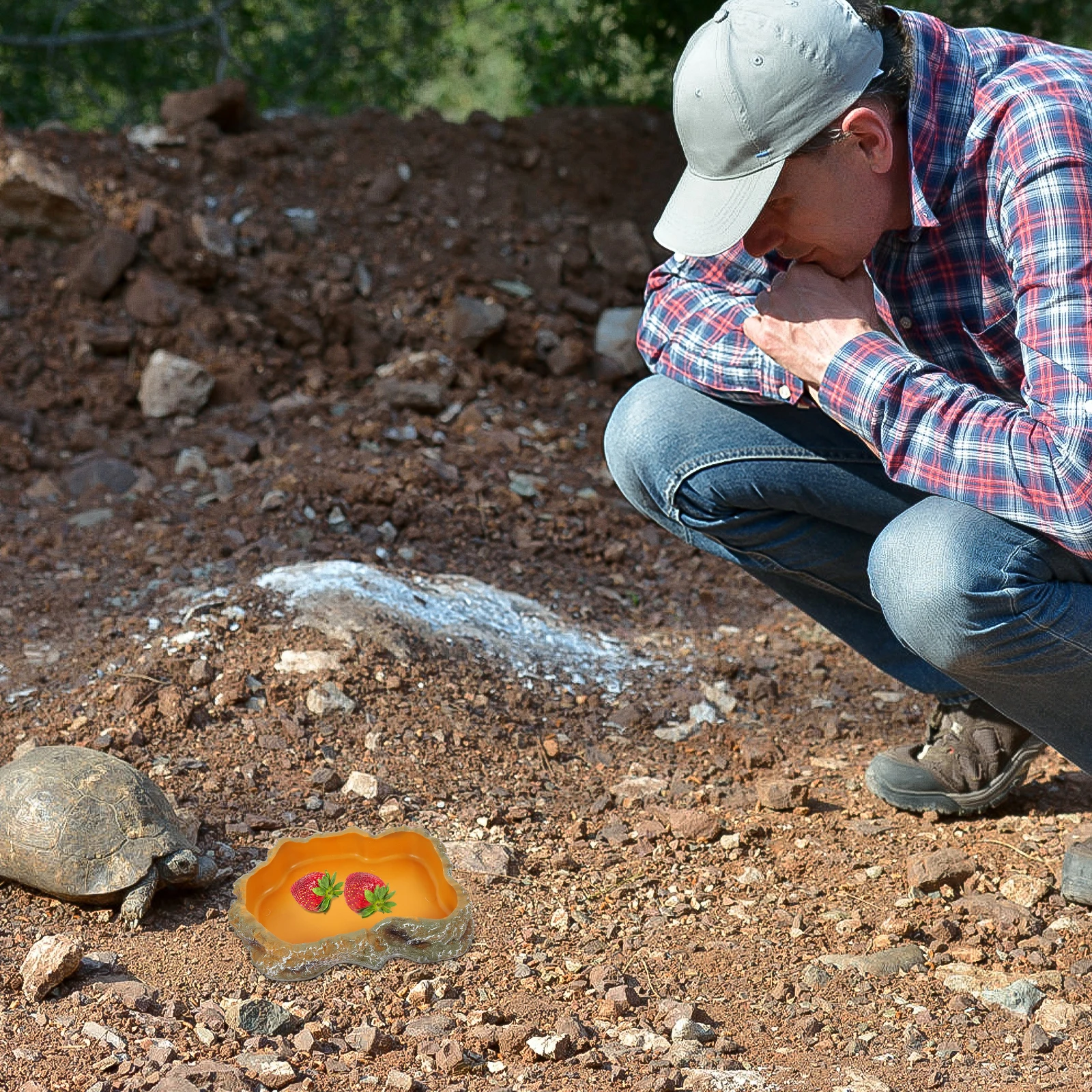 Reptile Water Holder Creative Rock Pattern Pet Bowl Encourages Eating Drinking Suitable Lizards Snakes Turtles Tank Accessories
Reptile Water Holder Creative Rock Pattern Pet Bowl Encourages Eating Drinking Suitable Lizards Snakes Turtles Tank Accessories