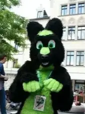Black Green Long Fur Husky Fox Dog Fursuit Mascot Costume for Halloween Christmas Fancy Party Animal Cartoon Character Sui
Black Green Long Fur Husky Fox Dog Fursuit Mascot Costume for Halloween Christmas Fancy Party Animal Cartoon Character Sui