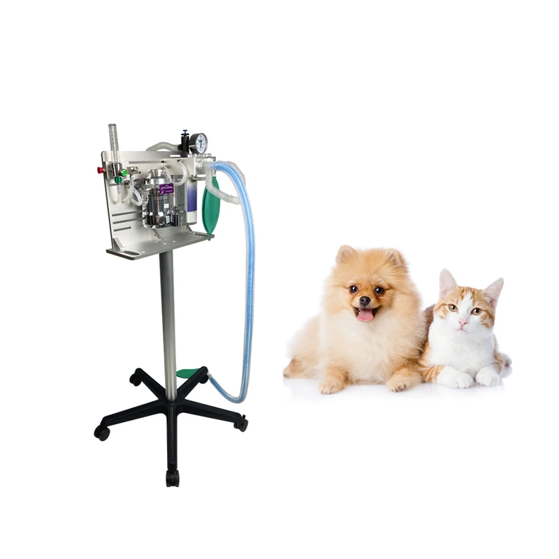 High Precision Animal Veterinary Anesthesia Machine Anesthesic Machine Vet
High Precision Animal Veterinary Anesthesia Machine Anesthesic Machine Vet
