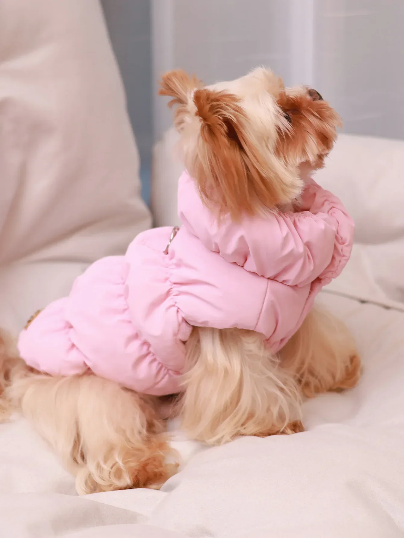 Dog Jacket For Autumn/Winter, Pet Coat, 3-Layer Thick Warm Outerwear, Suitable For Small To Medium Dogs Like Poodle, Teddy, York
Dog Jacket For Autumn/Winter, Pet Coat, 3-Layer Thick Warm Outerwear, Suitable For Small To Medium Dogs Like Poodle, Teddy, York
