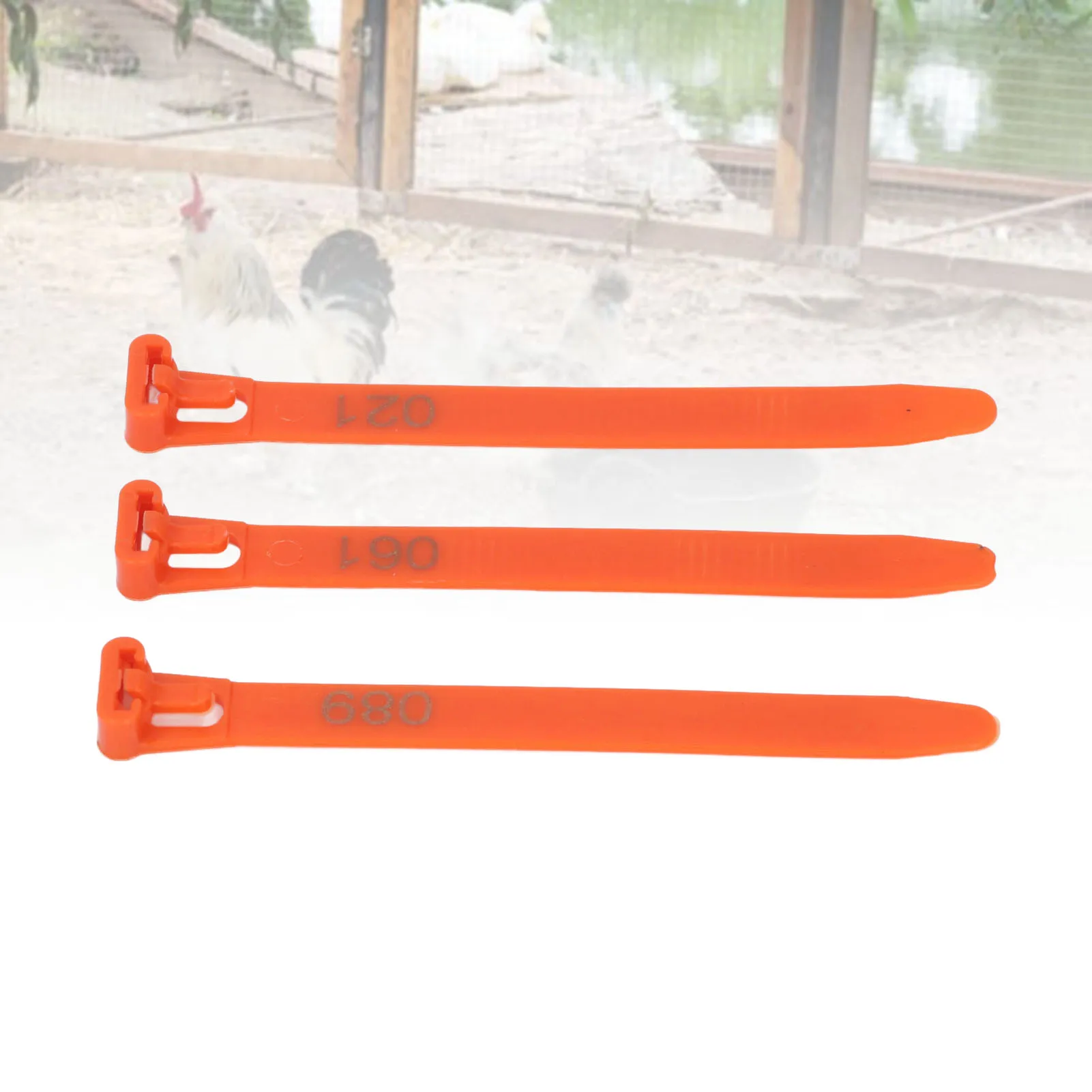 Chicken Leg Rings 1-100 Numbered Reusable Chicken Identification Leg Bands Tags For Ducks Chicks Chicken Pigeons Goose
Chicken Leg Rings 1-100 Numbered Reusable Chicken Identification Leg Bands Tags For Ducks Chicks Chicken Pigeons Goose
