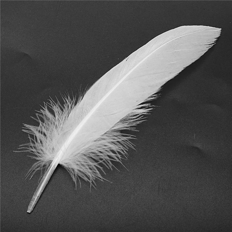 FX-300Pcs White Feathers Goose Craft For Party Hat Crafts Wedding Decoration 15-22Cm
FX-300Pcs White Feathers Goose Craft For Party Hat Crafts Wedding Decoration 15-22Cm