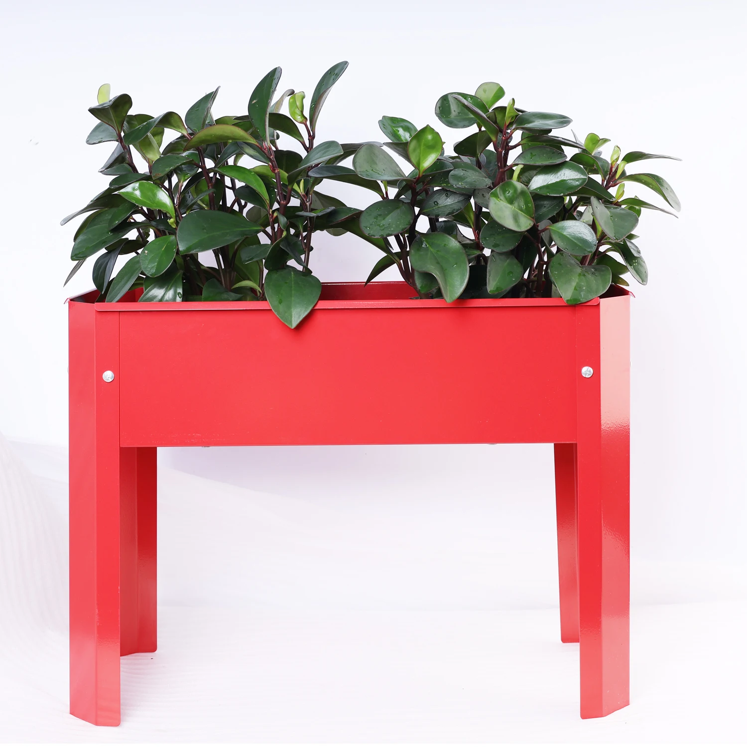 Mini Elevated garden bed, metal elevated outdoor flowerpot box, suitable for backyard and terrace, large flowerpot, suitable for
Mini Elevated garden bed, metal elevated outdoor flowerpot box, suitable for backyard and terrace, large flowerpot, suitable for
