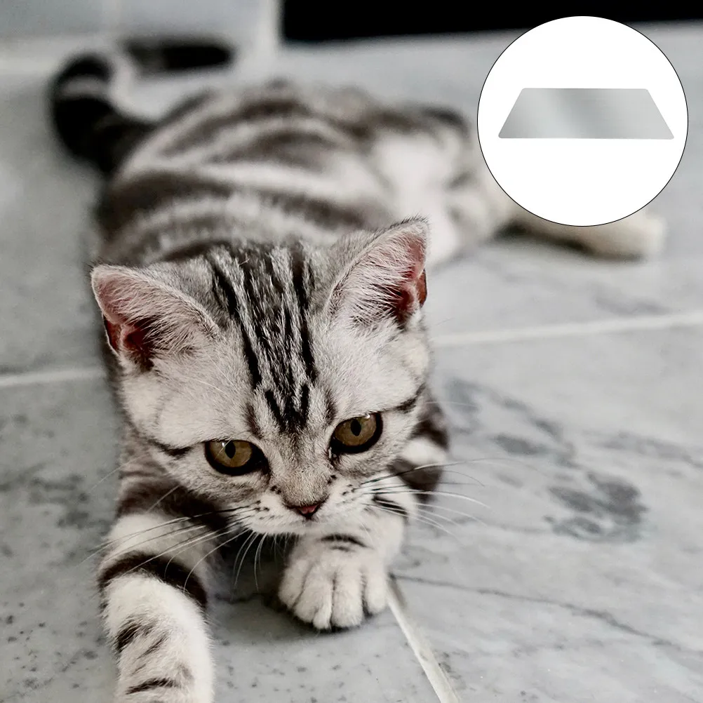 1Pcs Summer Cooling Board Pet Cool Mat Aluminum Surface Dog Cat Rabbit Bunny Chinchilla Hamster Heat Resistant Lightweight
1Pcs Summer Cooling Board Pet Cool Mat Aluminum Surface Dog Cat Rabbit Bunny Chinchilla Hamster Heat Resistant Lightweight