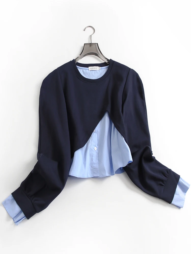 Color Block Short Bubble Sleeve Long Sleeve round Neck Women's Sweatshirt F373 Autumn New Style Anti-Aging Commute Style Cotton
Color Block Short Bubble Sleeve Long Sleeve round Neck Women's Sweatshirt F373 Autumn New Style Anti-Aging Commute Style Cotton