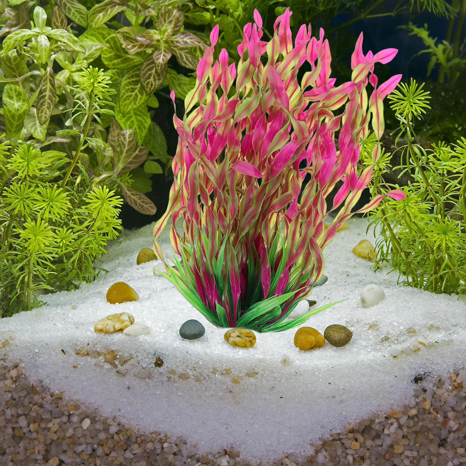 Artificial Water Plants Aquarium Fake Decor Plastic Ornament Aquatic Lifelike Decorations
Artificial Water Plants Aquarium Fake Decor Plastic Ornament Aquatic Lifelike Decorations