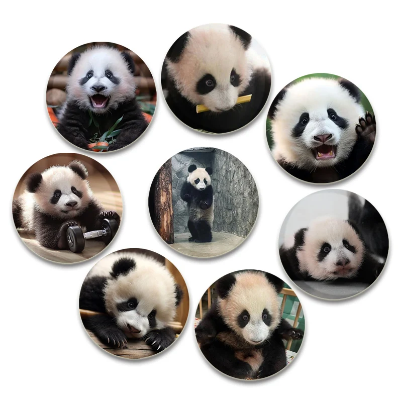 Cute Chinese Giant Panda Badge Souvenir Collection Brooches Katyusha/wula Pins Breastpin for Backpack Clothes Gift Accessory
Cute Chinese Giant Panda Badge Souvenir Collection Brooches Katyusha/wula Pins Breastpin for Backpack Clothes Gift Accessory