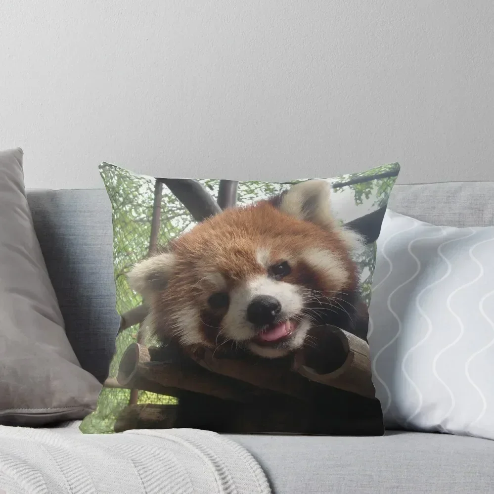 Red panda Throw Pillow Christmas Pillowcase Custom Cushion Cushion Cover For Sofa pillow
Red panda Throw Pillow Christmas Pillowcase Custom Cushion Cushion Cover For Sofa pillow