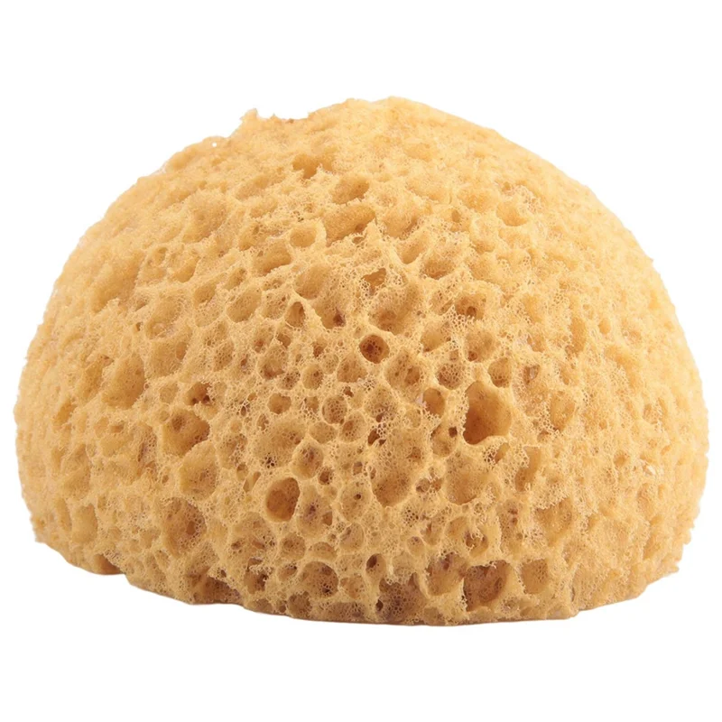 16Pcs Texture Sponge Drywall Texture Sponge Texture Patch Sponge For Texture Repair DIY Painting Ceiling (12 X 9 X 7Cm)-B09B
16Pcs Texture Sponge Drywall Texture Sponge Texture Patch Sponge For Texture Repair DIY Painting Ceiling (12 X 9 X 7Cm)-B09B
