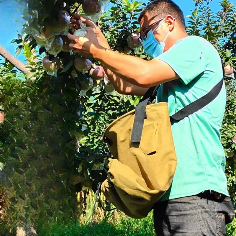 New picking bag Orchard fruit picking artifact cloth Farm tools Fruit tree special fruit unloading pocket Apple picking bag
New picking bag Orchard fruit picking artifact cloth Farm tools Fruit tree special fruit unloading pocket Apple picking bag