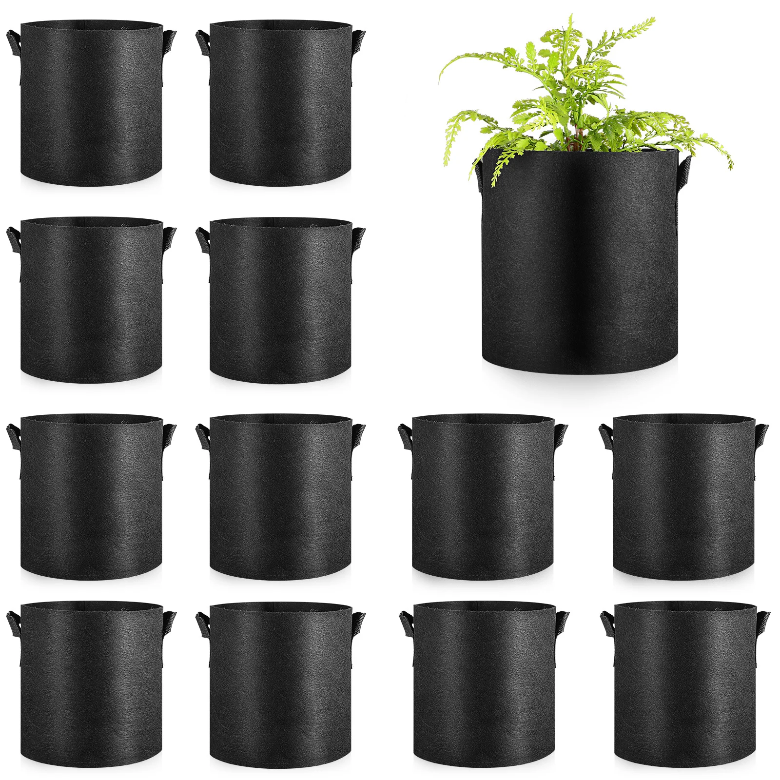 12Pcs Plant Grow Bags 3 Gallon Heavy Duty Fabric Pots for Vegetable Tomato Potato Onion Flower Gardening Breathable Lightweight
12Pcs Plant Grow Bags 3 Gallon Heavy Duty Fabric Pots for Vegetable Tomato Potato Onion Flower Gardening Breathable Lightweight