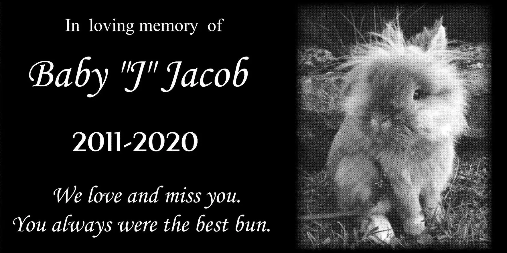 Natural Granite Personalized Pet Memorial Stone, Creative Pets Tombstone, 30X15CM
Natural Granite Personalized Pet Memorial Stone, Creative Pets Tombstone, 30X15CM