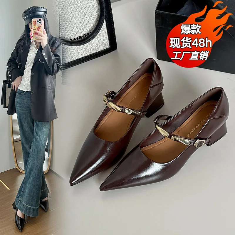 Luxury Designer Shoes 2026 New Pointed Head Shallow Mouth Mary Jane Shoes Not Tired Feet 4.5cm Thick Heel Leather High Heels 신발
Luxury Designer Shoes 2026 New Pointed Head Shallow Mouth Mary Jane Shoes Not Tired Feet 4.5cm Thick Heel Leather High Heels 신발