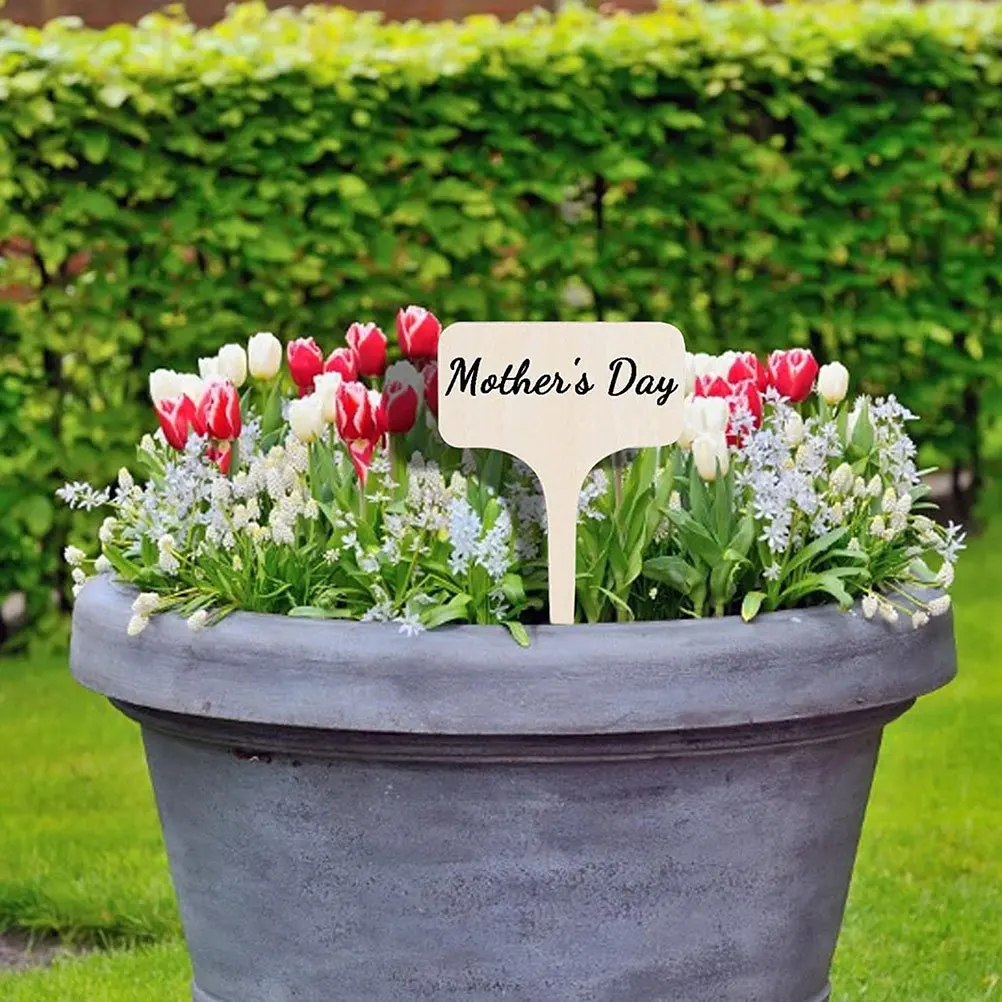 20Pcs Gardening Plant Labels Wooden Markers Durable Reusable Plant Identification Tags for Garden Beds Flowers
20Pcs Gardening Plant Labels Wooden Markers Durable Reusable Plant Identification Tags for Garden Beds Flowers