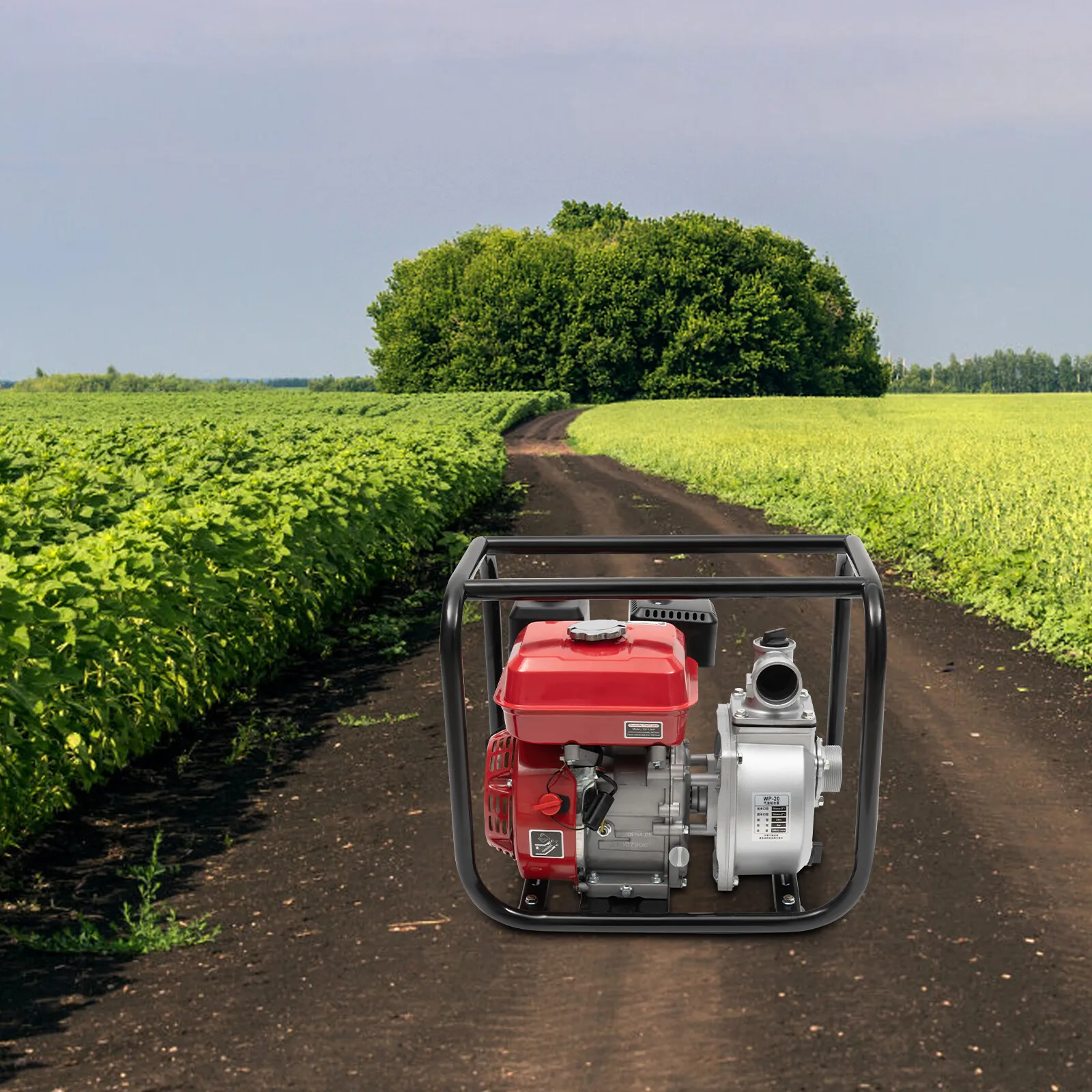 7.5HP (5.6kW) Portable Gasoline Water Pump - 2 Inch (50mm) w/ 25ft (7.5m) Hose for Irrigation Transfer
7.5HP (5.6kW) Portable Gasoline Water Pump - 2 Inch (50mm) w/ 25ft (7.5m) Hose for Irrigation Transfer