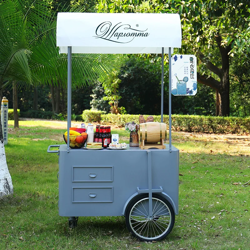 Portable Snack Food Hand Push Cart Street Vendor Food Delivery Bike with Display Freezer
Portable Snack Food Hand Push Cart Street Vendor Food Delivery Bike with Display Freezer