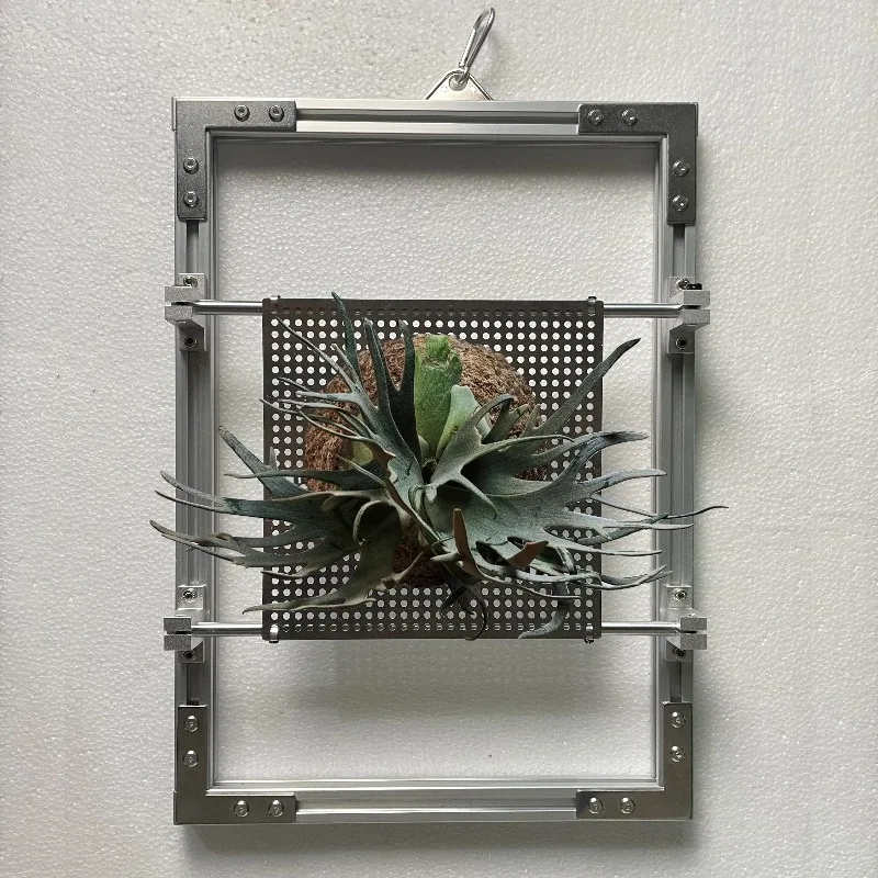Easy Aluminum Profile Staghorn Fern Mounting Frame - DIY Wall Hanging Planter, Vertical Green Wall Shelf for Indoor Plants
Easy Aluminum Profile Staghorn Fern Mounting Frame - DIY Wall Hanging Planter, Vertical Green Wall Shelf for Indoor Plants