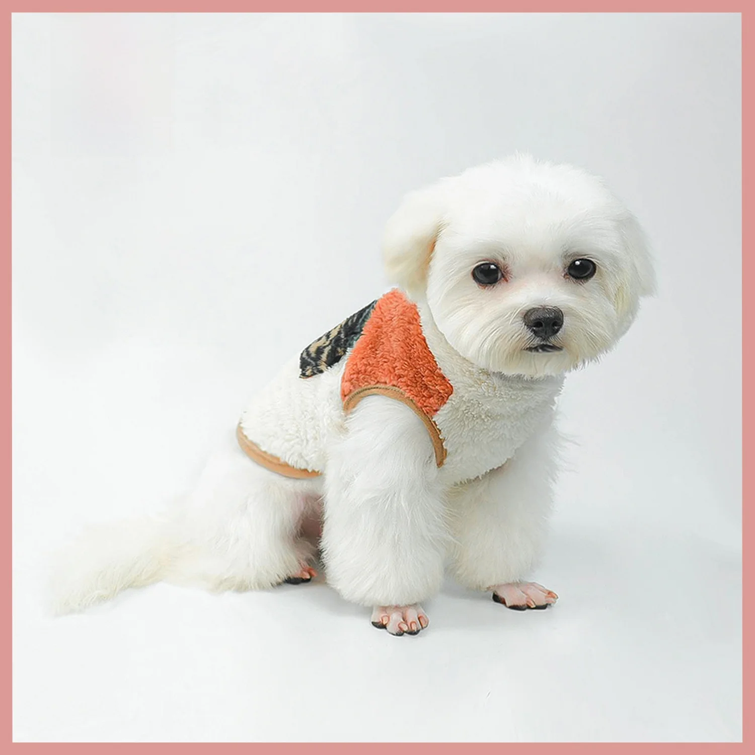 Теплый флисовый жилет для кошек и собак: уютная повседневная одежда для бишонов, шнауцеров, мальтезе на осень-зиму
Теплый флисовый жилет для кошек и собак: уютная повседневная одежда для бишонов, шнауцеров, мальтезе на осень-зиму