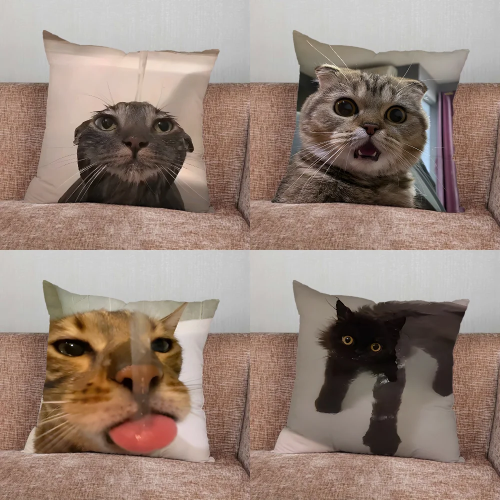 Pet Cat Funny memes Pillow Case For Home Bedroom Car Office Decoration Living Room Sofa Cushion Cover Suitable
Pet Cat Funny memes Pillow Case For Home Bedroom Car Office Decoration Living Room Sofa Cushion Cover Suitable