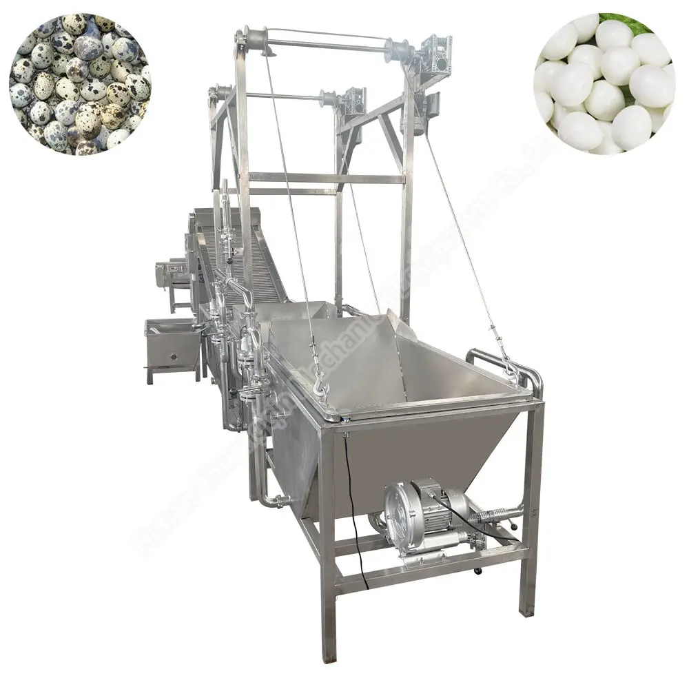 Quail Egg Shell Crusher Peeler Machine Egg Shell Breaking Machine Hard Boiled Egg Peeling Machine
Quail Egg Shell Crusher Peeler Machine Egg Shell Breaking Machine Hard Boiled Egg Peeling Machine